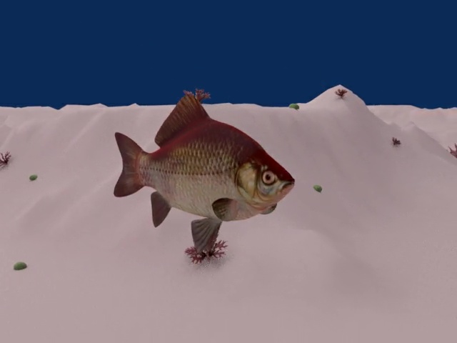 Animation Project - Brendan Raimann Animation Project - Brendan Raimann