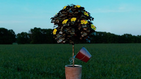 Dynamics Project - Kailey Connors
